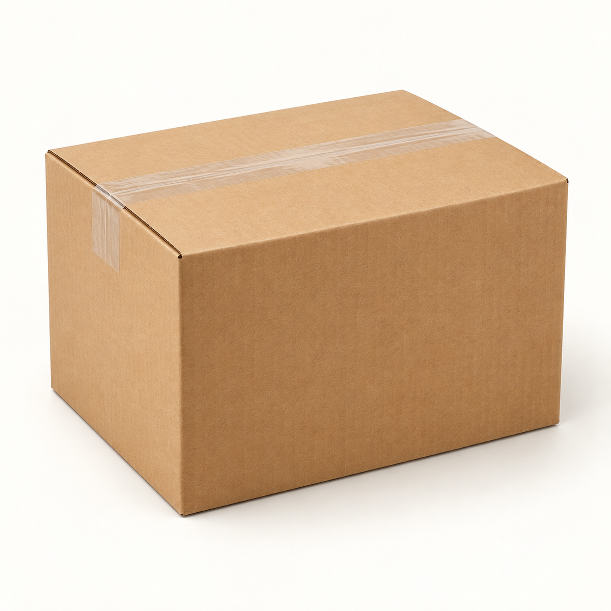 Protection Essentials — Case of 1,000